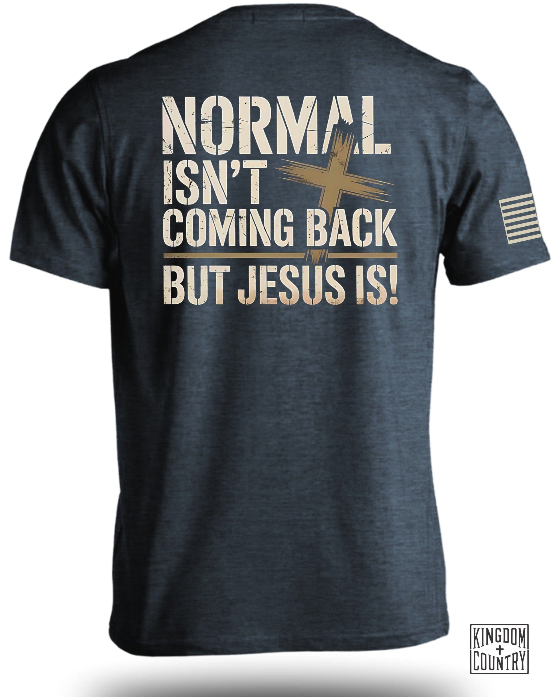 Normal Isn't Coming Back but Jesus Is T-shirt product
