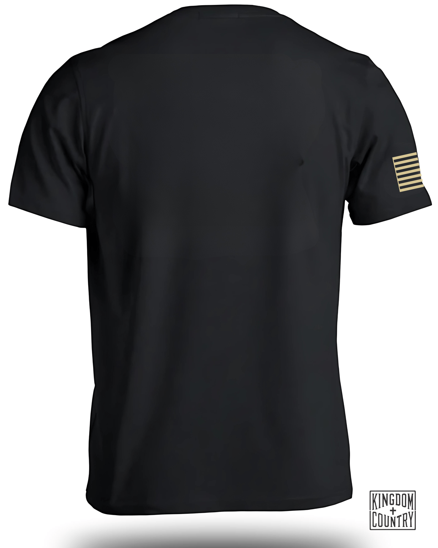 Patriotic Eagle Isaiah 40 31 T-Shirt