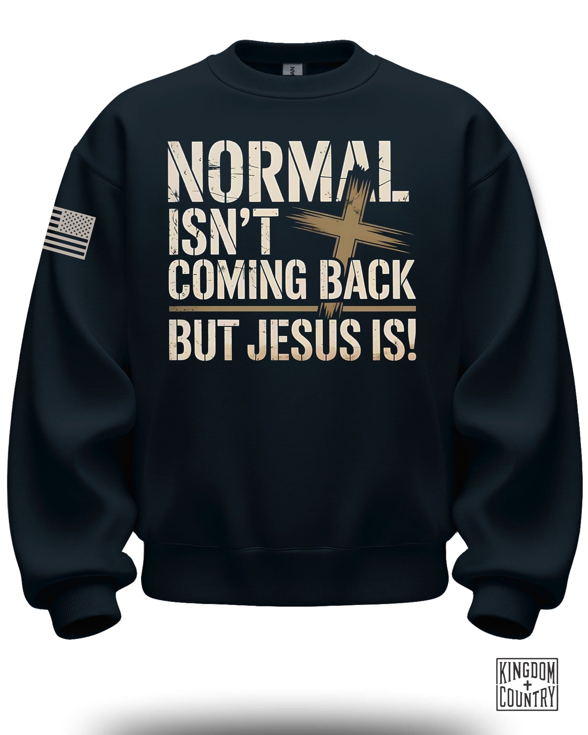 Normal Isn't Coming Back But Jesus Is Sweatshirt